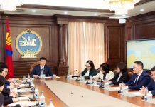 Төрийн болон орон нутгийн өмчит компанийн бүтээмж, засаглалыг сайжруулахтай холбоотой хуулийн төслүүдийг хэлэлцүүлэгт бэлтгэх ажлын хэсгийн мэдээллийг сонслоо